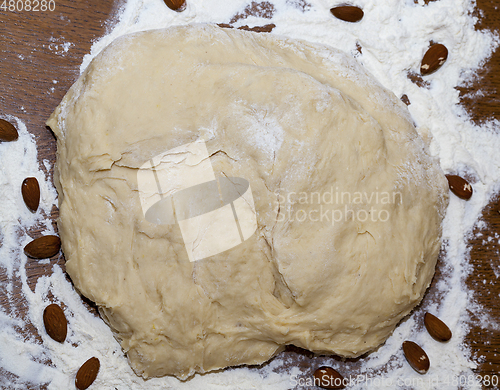 Image of Dough for bread, close-up