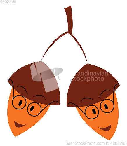 Image of Two acorns wearing round eyeglasses hanging from the branch vect