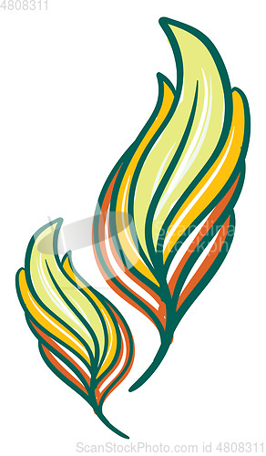 Image of Yellow and green color feather vector or color illustration