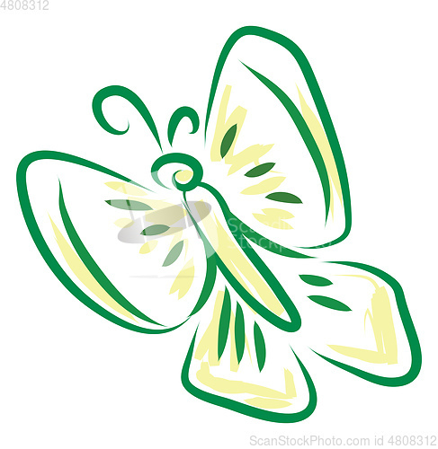 Image of A butterfly vector or color illustration