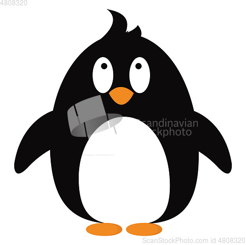 Image of A baby penguin, vector color illustration.