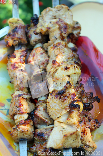 Image of appetizing barbecue on the plate