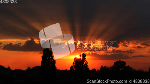 Image of dark summer decline with dark sky trees and the last sun beams