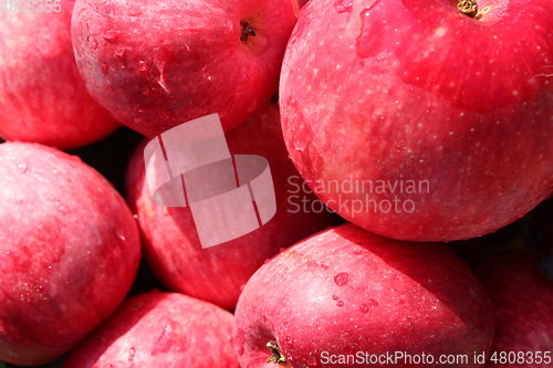Image of ripe red apples