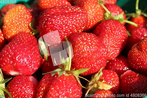 Image of ripe red strawberries