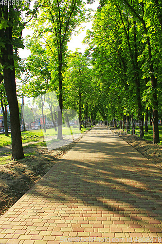 Image of Beautiful park with many green trees