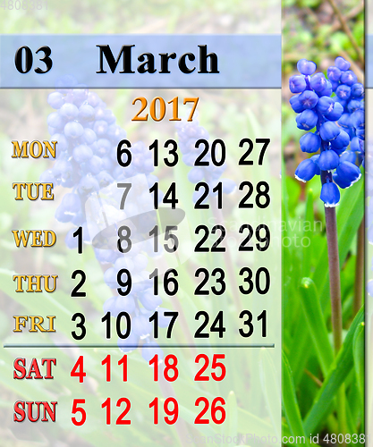 Image of calendar for March 2017 with muscari