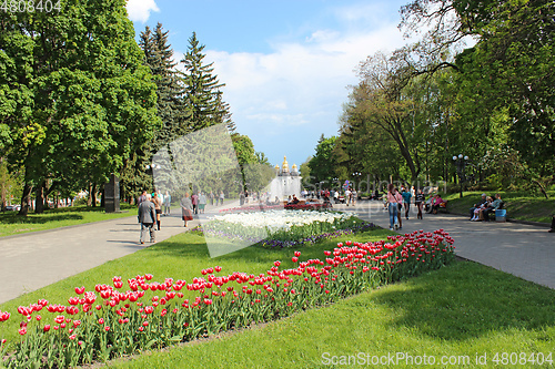 Image of People have a rest in city park with tulips