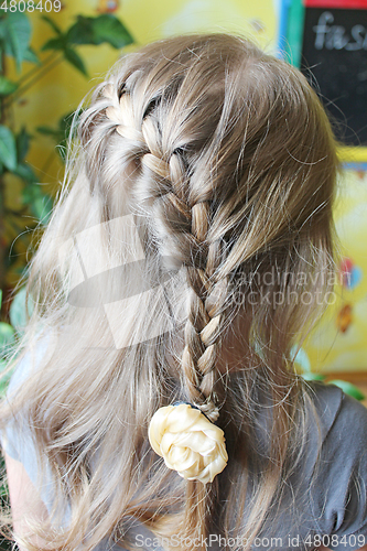 Image of head of young girl with nice braids