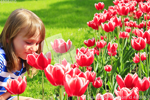 Image of little girl smells tulips on the flower-bed