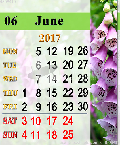 Image of calendar for June 2017 with lilac bluebells