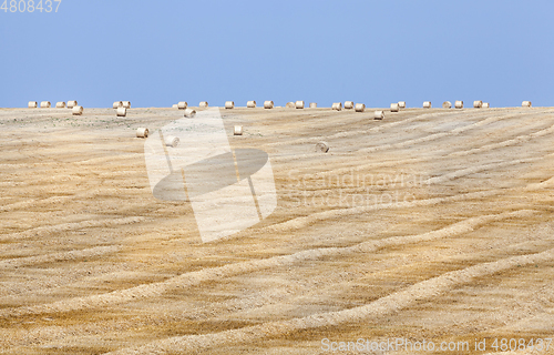 Image of cereals and blue sky