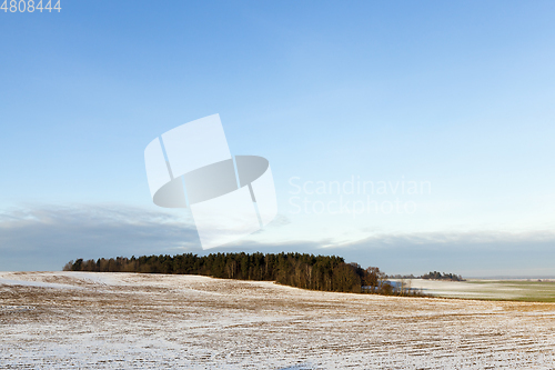 Image of Field in the snow