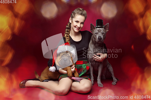 Image of Pretty girl with dogs in christmas hats