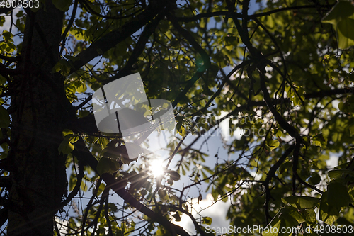 Image of Sun Shining