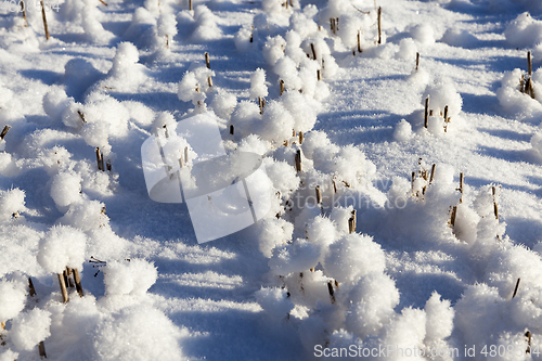 Image of Snow drifts in winter