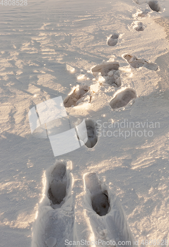Image of Winter season. Photo