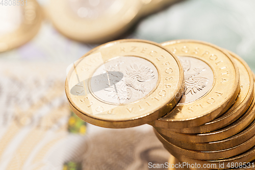 Image of Polish money, close-up