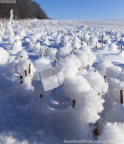 Image of Snow drifts in winter