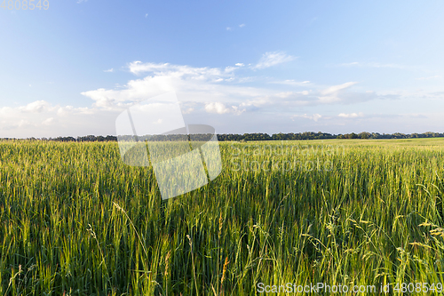 Image of agricultural field