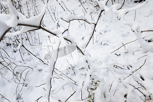 Image of Snow drifts in winter