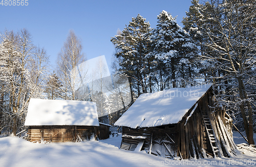 Image of Wooden buildings in the forest