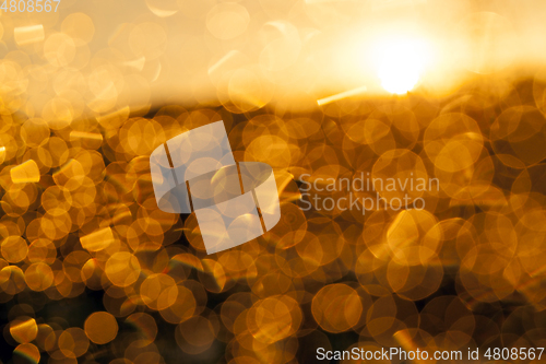 Image of Orange sky, out of focus