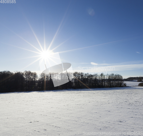 Image of Snow after snowfall