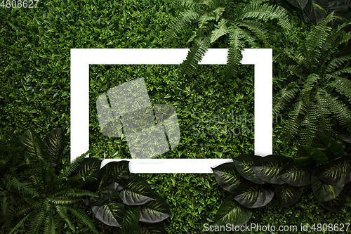 Image of Green leaves for background