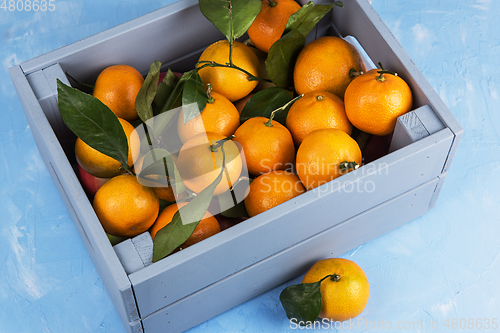 Image of Fresh tangerines in box with leaves