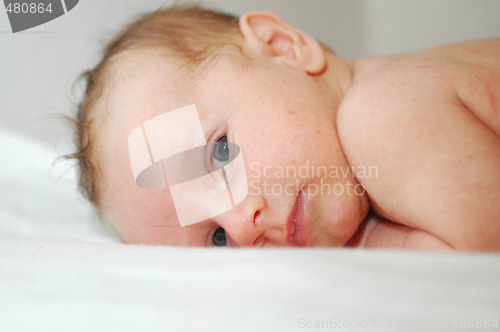 Image of Baby