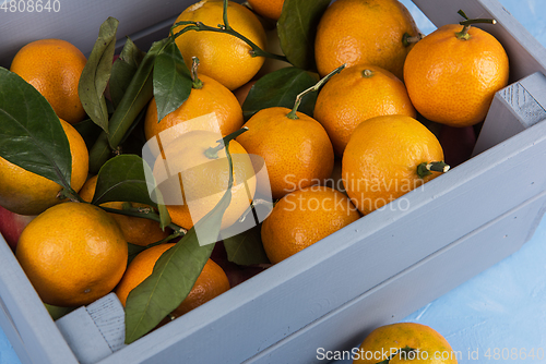 Image of Fresh tangerines in box with leaves