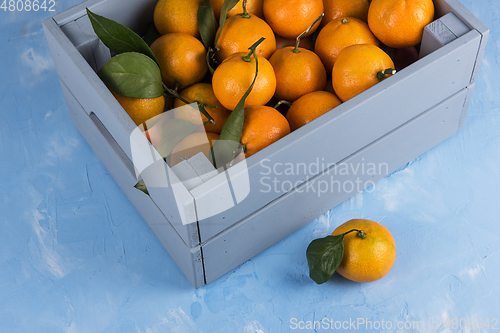 Image of Fresh tangerines in box with leaves