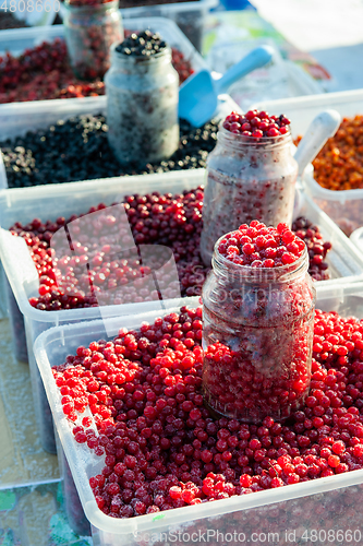 Image of Frozen red berry fruits