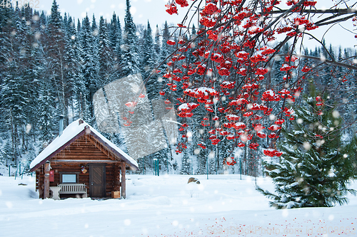 Image of Winter holiday house in forest.