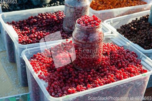 Image of Frozen red berry fruits