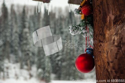 Image of Ready for New year