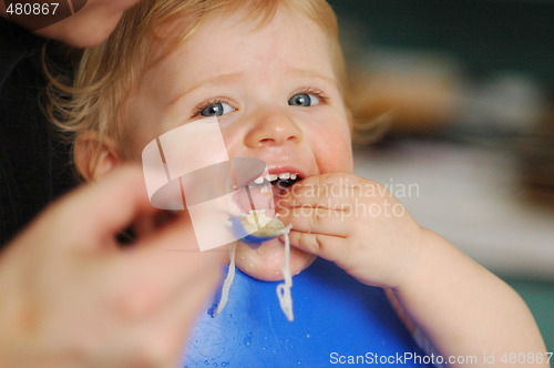 Image of Feeding