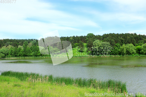 Image of summer landscape with river and forest