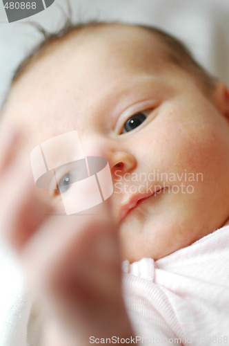 Image of Baby