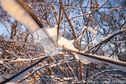 Image of Snow drifts in winter