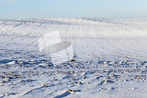 Image of Snow in winter