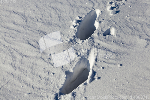 Image of Snow drifts in winter