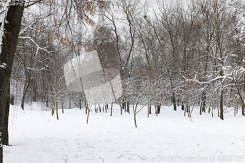 Image of Snow drifts in winter