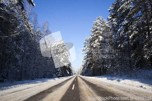 Image of Trees in winter