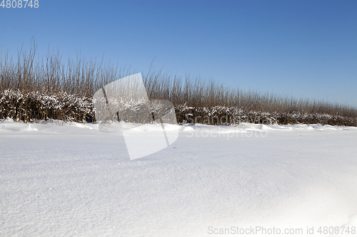 Image of Snow drifts in winter