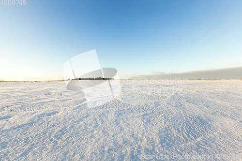 Image of Photo of snow, close-up