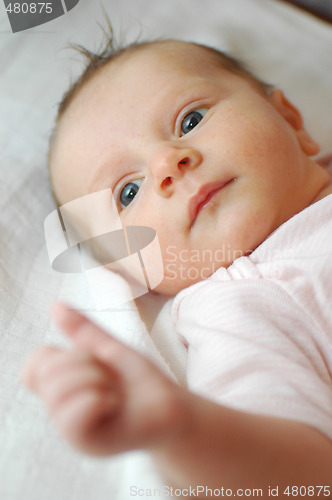 Image of Baby