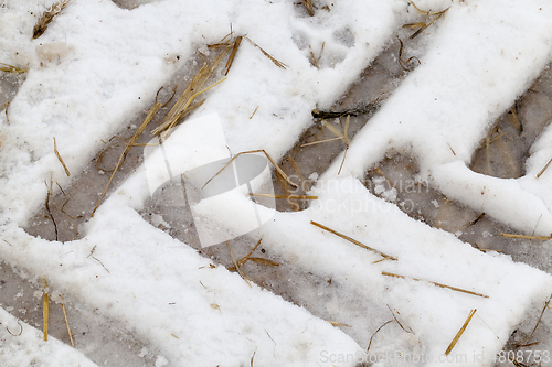 Image of Traces of the car on the snow