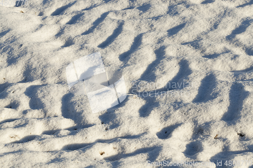 Image of Traces in the field in winter